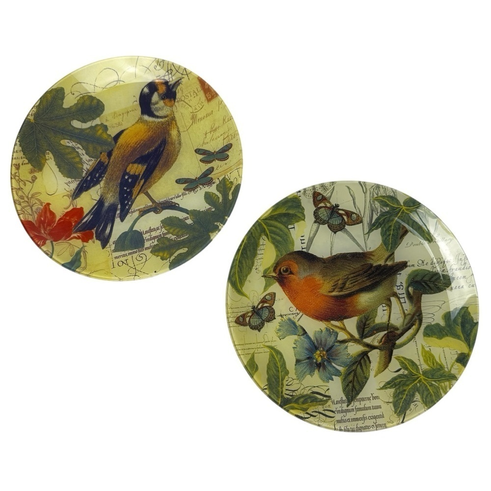 Bird Plates 2 DECOUPAGE Dinner RAZ 8.5” Autumn Robin Finch? Yellow Decorative